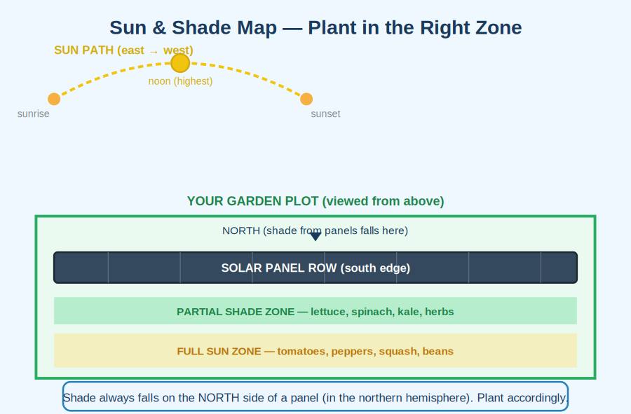 Sun and shade map